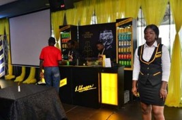 SCHWEPPES – MOJITO AND CHAPMAN LAUNCH — 2